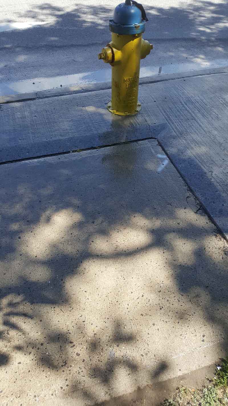 Concrete Sidewalk Repair by Hydrant